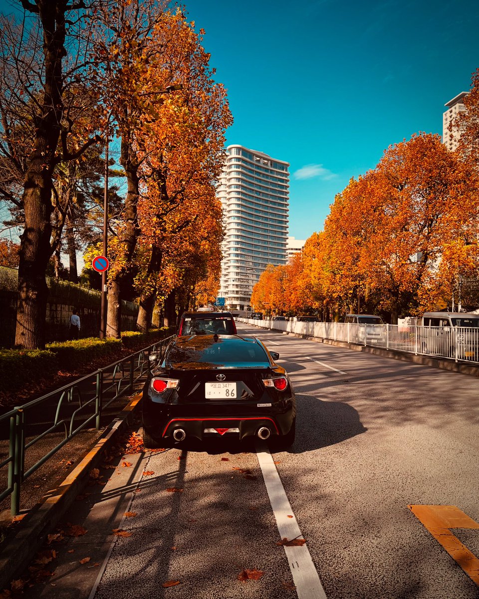秋🍂

#秋
#ドライブ
#紅葉
#トヨタ
#toyota
#トヨタ86
#toyota86
#86乗り
#スポーツカー
#86乗りと繋がりたい
#86男子
#86女子