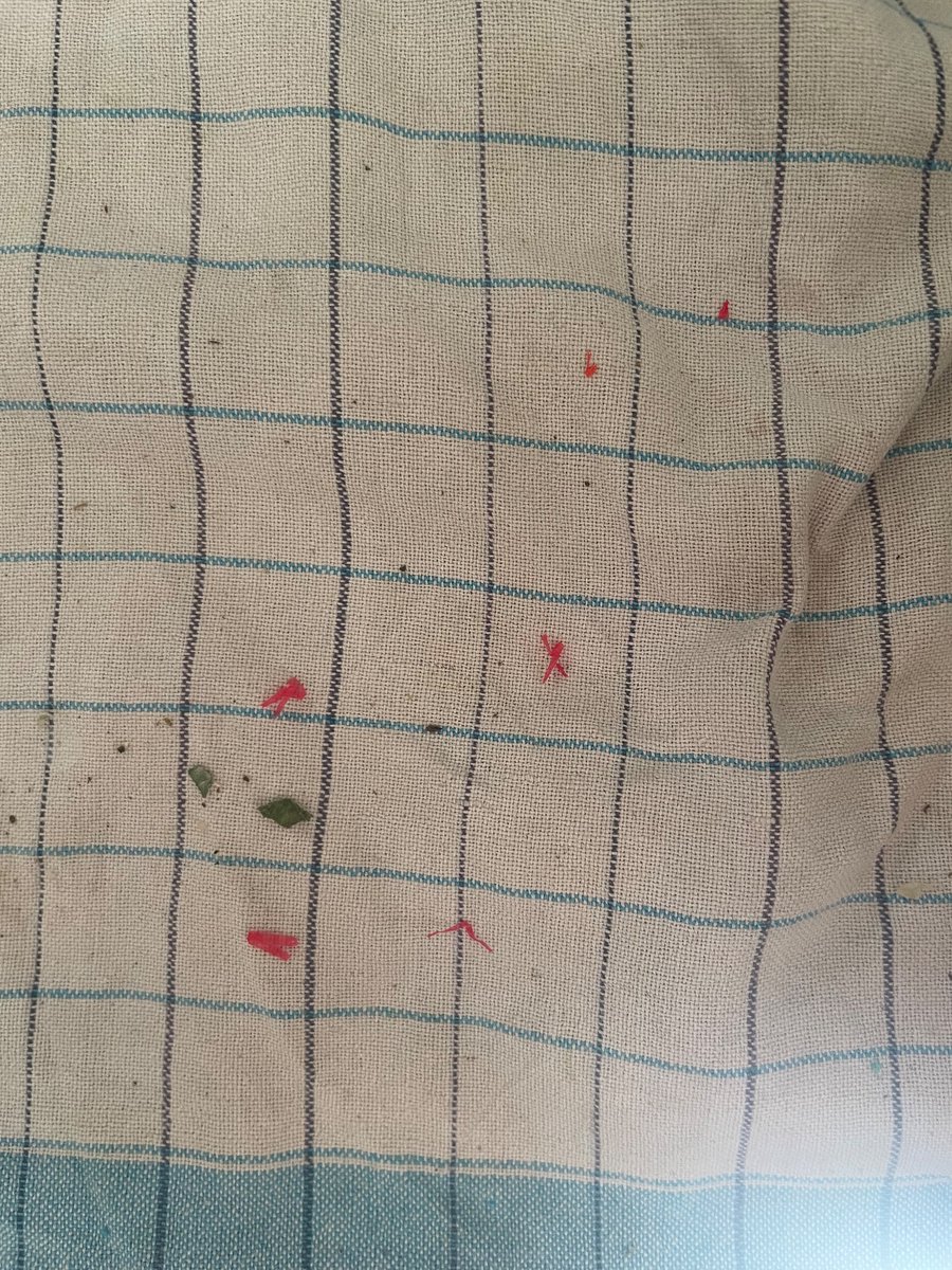 yashashree91's tweet photo. @SwiggyCares @SwiggyInstamart @swiggydesign a sincere request from a regular customer and borderline fan of the platform, please replace the red bags, #microplastics are a life hazard in the stomach and in the environment! #Stop #PlasticPollution https://t.co/9nO5ff38Im