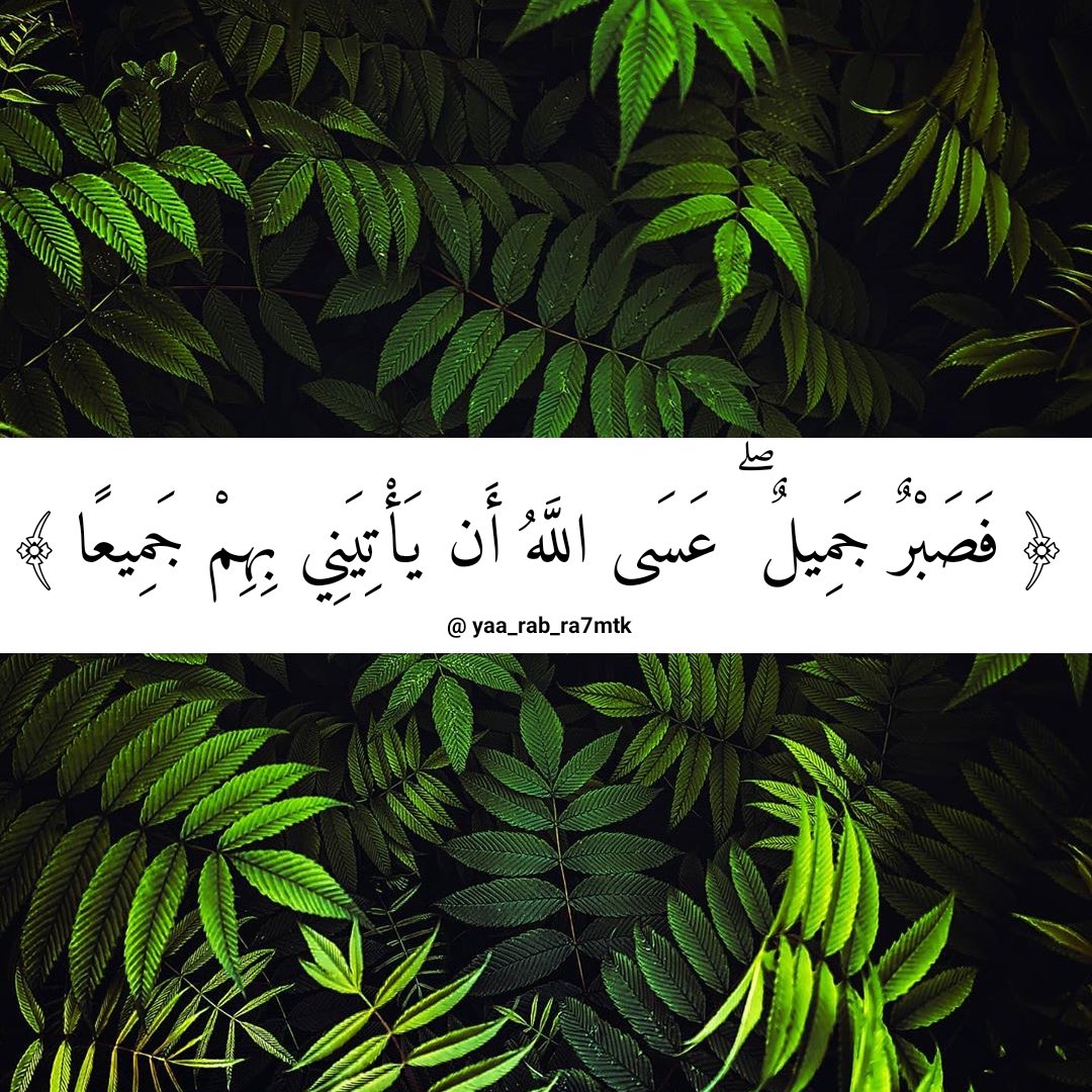 يارب رضاك 🍃❤ (@redakyaa) on Twitter photo 