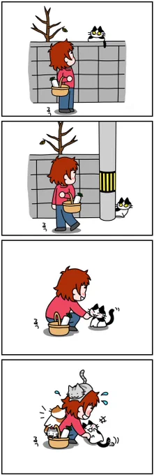 ニャンコ……( * ֦ơωơ֦)💕ฅ^•ω•^ฅ
#猫と人の日
#みんなの食卓 