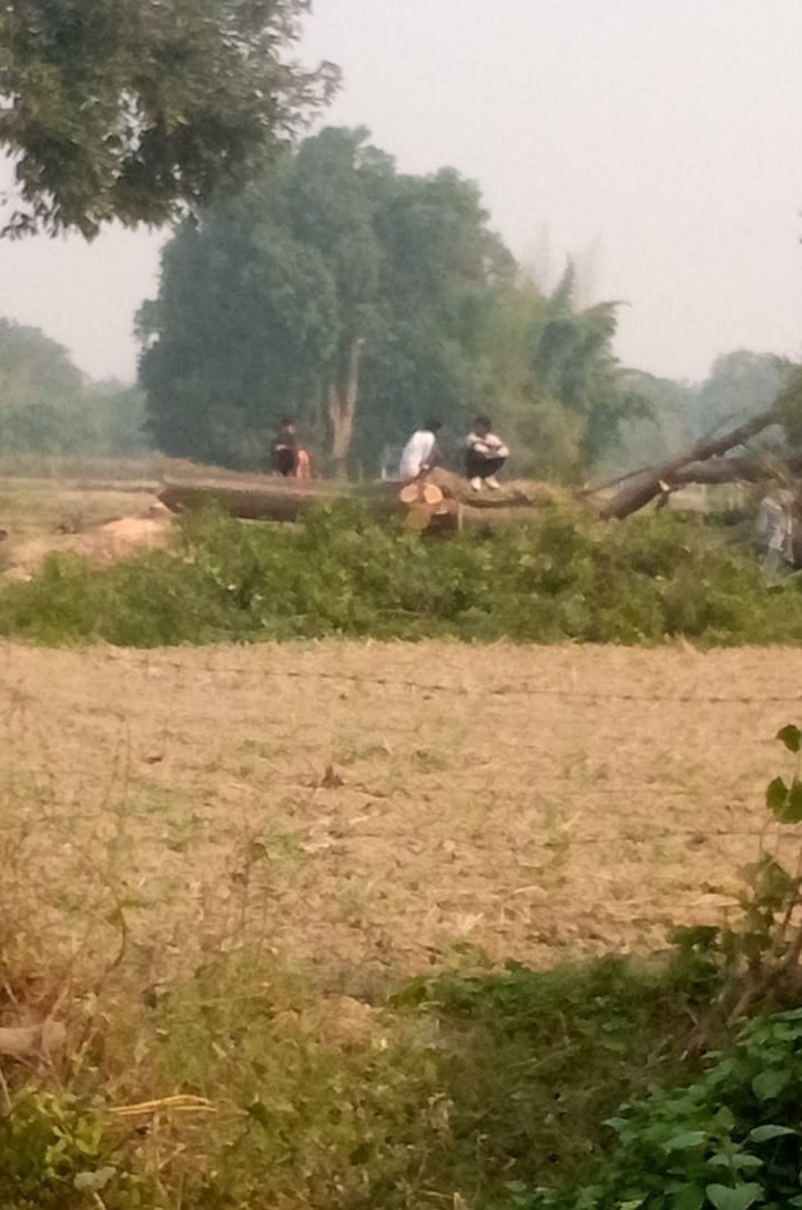 #अयोध्या। कुमारगंज थाना क्षेत्र के तिन्दौली गांव पूरे बीसा का पुरवा में वन विभाग की मिली भगत से नीम के हरे पेड़ पर चला आरा वन विभाग को दी गई सूचना नहीं हुई कोई कार्यवाही  <a href="/Uppolice/">UP POLICE</a> <a href="/upfcup/">UPFOREST CORPORATION</a> <a href="/ayodhya_police/">AYODHYA POLICE</a> <a href="/CMOfficeUP/">CM Office, GoUP</a> <a href="/DrAnshu98997523/">एंटीकरप्शन बोर्ड ऑफ इंडिया</a> <a href="/AmarBah91129652/">Amar Bahadur Journalist</a> <a href="/AtulTiw92374903/">मानसिकता न्यूज़ अयोध्या</a>