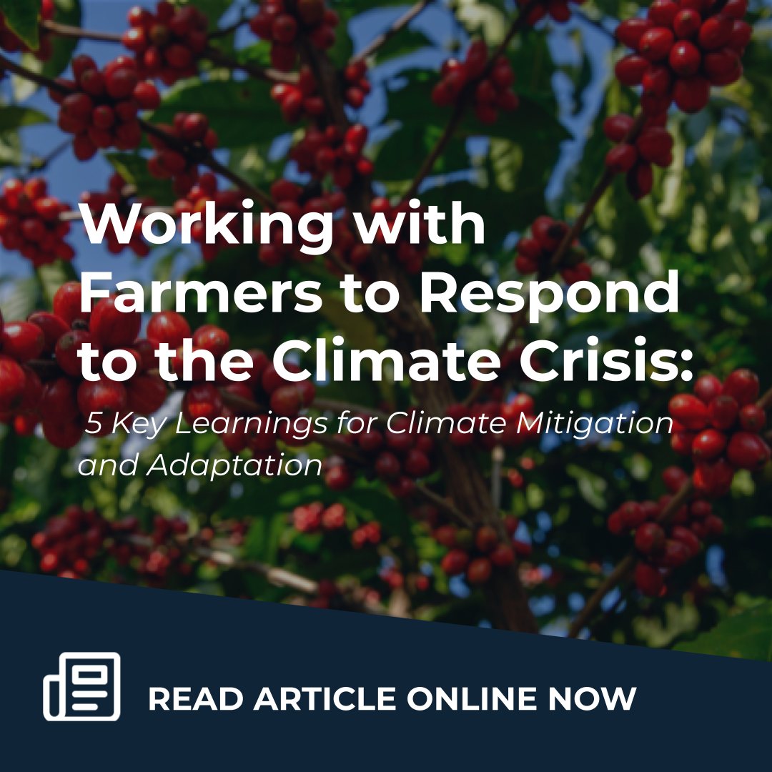 Business Fights Poverty (@fightpoverty) on Twitter photo 🌍 A recent study by the <a href="/FairtradeUK/">Fairtrade Foundation</a> reveals five key strategies for businesses to reduce scope 3 emissions while prioritising producer livelihoods in Fairtrade supply chains.
Discover more in our Climate Justice Series 2024! businessfightspoverty.org/working-with-f…
#ClimateJustice #Fairtrade 🌍 A recent study by the <a href="/FairtradeUK/">Fairtrade Foundation</a> reveals five key strategies for businesses to reduce scope 3 emissions while prioritising producer livelihoods in Fairtrade supply chains.
Discover more in our Climate Justice Series 2024! businessfightspoverty.org/working-with-f…
#ClimateJustice #Fairtrade