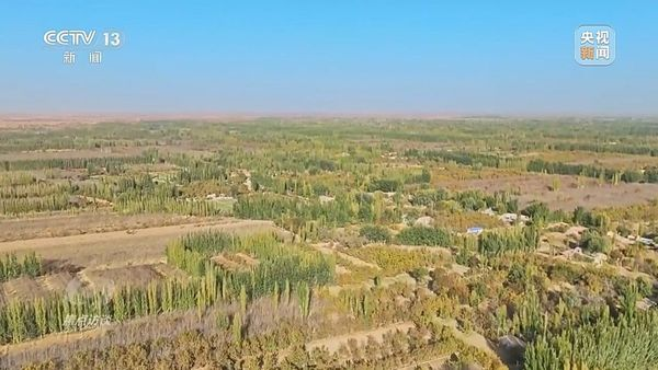 ChinaScience's tweet photo. China finished encircling the country's largest desert, the #TaklimakanDesert, with a sand-blocking green belt stretching 3,046 km on Thursday morning, which is part of the world's largest afforestation program to tackle #desertification in northwest, north and northeast China. https://t.co/1h8y7SQ68s
