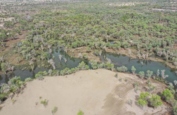 ChinaScience's tweet photo. China finished encircling the country's largest desert, the #TaklimakanDesert, with a sand-blocking green belt stretching 3,046 km on Thursday morning, which is part of the world's largest afforestation program to tackle #desertification in northwest, north and northeast China. https://t.co/1h8y7SQ68s