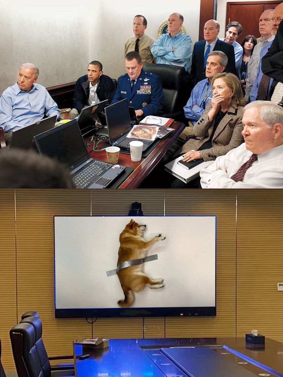 taped_dog's tweet photo. just taped dog https://t.co/Tf5MYKIdLF