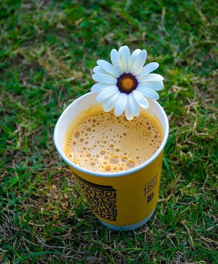 213oa's tweet image. Coffee: the silent hero of productivity or just a delicious distraction?
 What's your take?