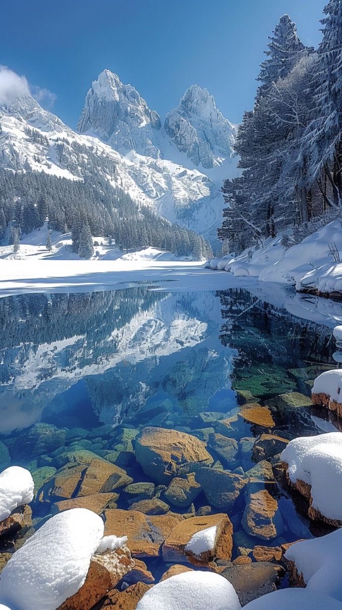 Good morning! ❄️