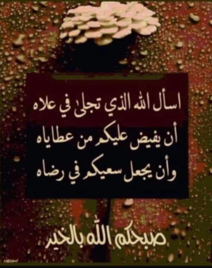 عبدالعزيز محمد الكوير tweet media