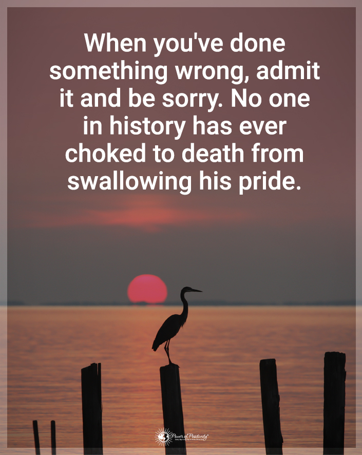 “When you’ve done something wrong, admit it and be sorry. No one in history has ever choked to death from swallowing his pride.” #pride #mistake #forgiveness #integrity #innerpeace #soul #tranquility #quotes #quote #inspirationalquotes #MotivationalQuotes