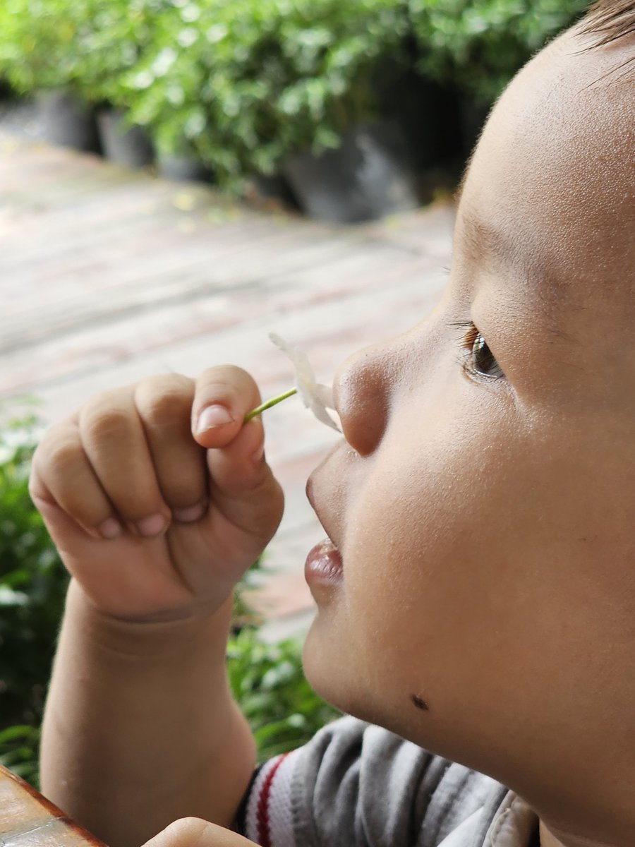 Hôm nay bỗng dưng nhớ đến các con vô cùng.

Cuối năm rồi, Cô Luyện ctl đang chuẩn bị cho chương trình tết nên cũng mong rằng cuối năm nay các con có thêm nhiều quấn áo mới, nhiều món ăn ngon, được thêm lì xì...

Nói đến đây cô lại tự thầm đặt mục tiêu cho