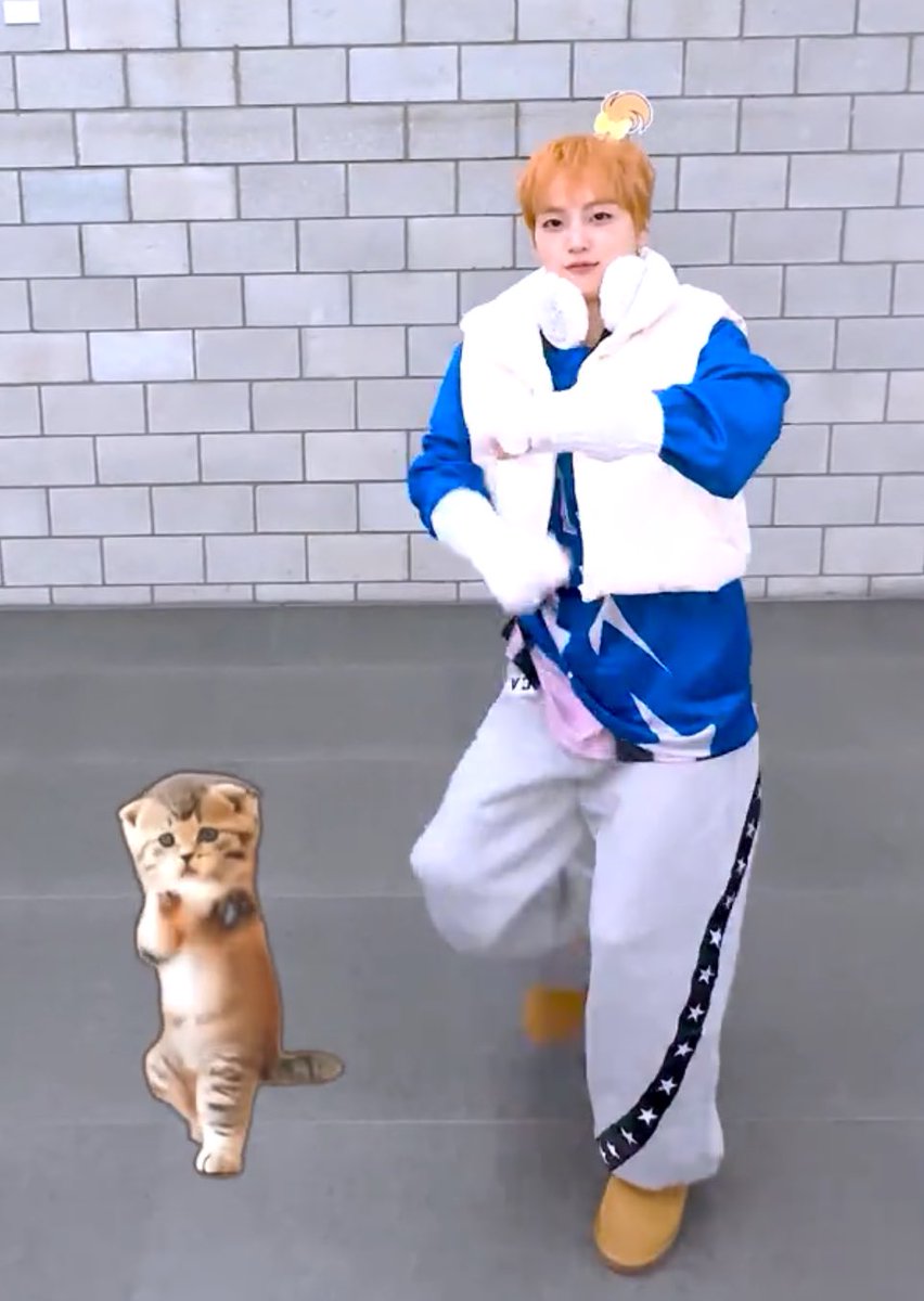 popomuffi's tweet photo. 치즈냥이 두마리 입양 가능할까요?🪽💕 https://t.co/mf4J3BrCge
