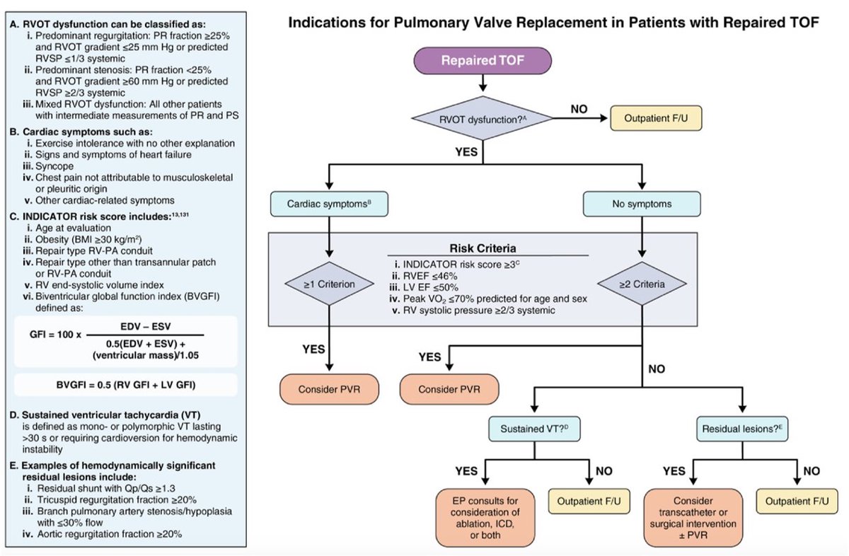 Rafa Alonso (@ralogon) on Twitter photo New proposed algorithm for PVR in ToF. Should we forget about the RV volumes completely? ahajournals.org/doi/pdf/10.116… <a href="/DrRachelWald/">Rachel Wald</a> <a href="/TorontoACHD/">Toronto ACHD Program</a> New proposed algorithm for PVR in ToF. Should we forget about the RV volumes completely? ahajournals.org/doi/pdf/10.116… <a href="/DrRachelWald/">Rachel Wald</a> <a href="/TorontoACHD/">Toronto ACHD Program</a>