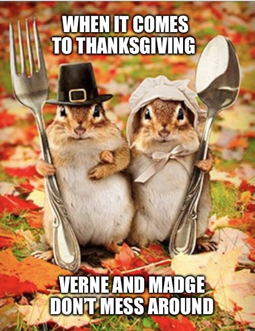 If you celebrate, Happy Thanksgiving!