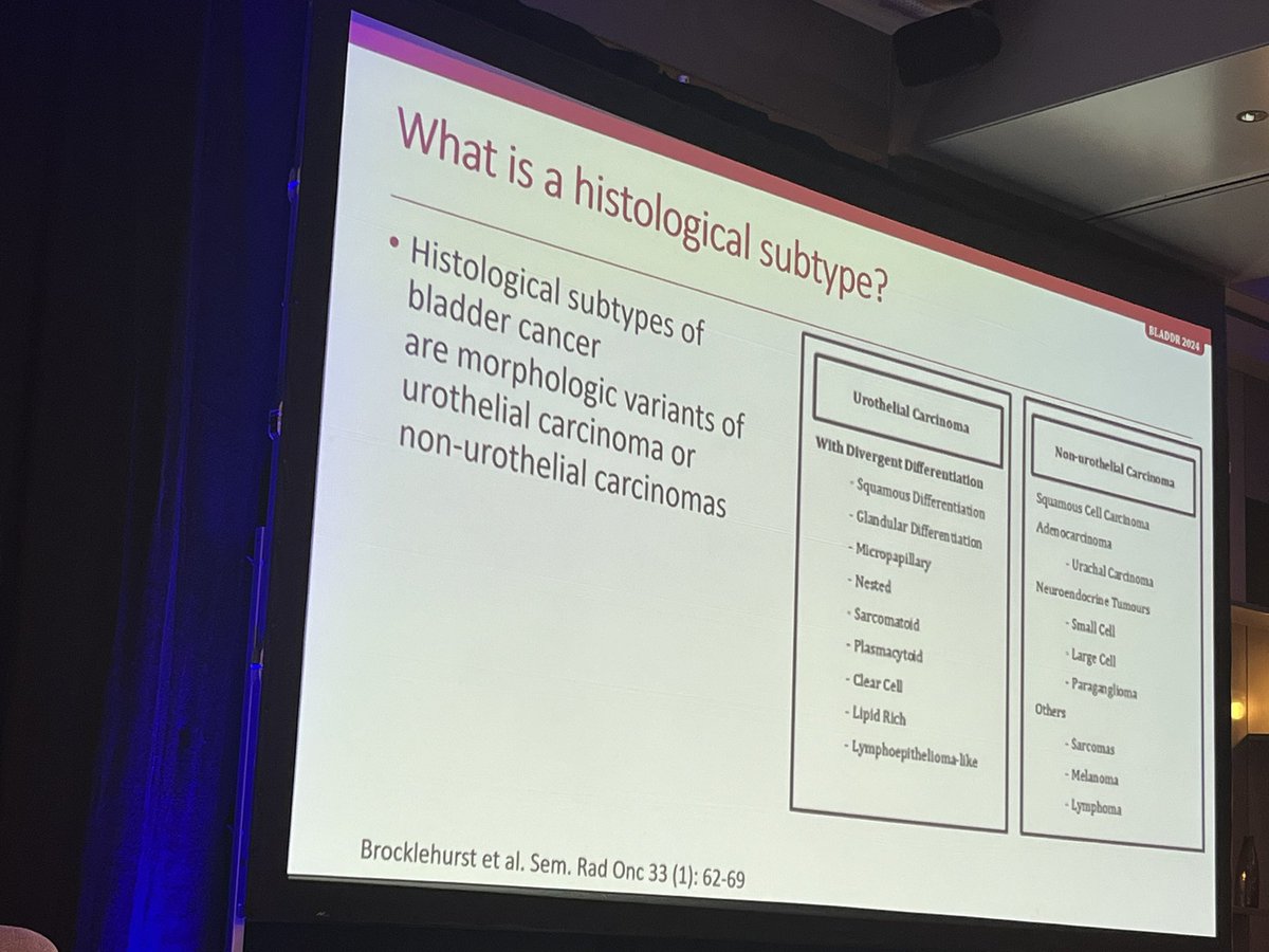 PGrivasMDPhD's tweet photo. Always enjoying talks by @achoud72 this was on histology subtypes of bladder cancer! We need dedicated trials, stay tuned for neoadjuvant MIBC trial data coming soon by our team @RubenRaychaud 
@mirrorsmed @OncoAlert #BLADDR24 
@Uromigos @nataliagandur @DanieleRaggi83 @FaltasLab https://t.co/cxYP6KpYfl