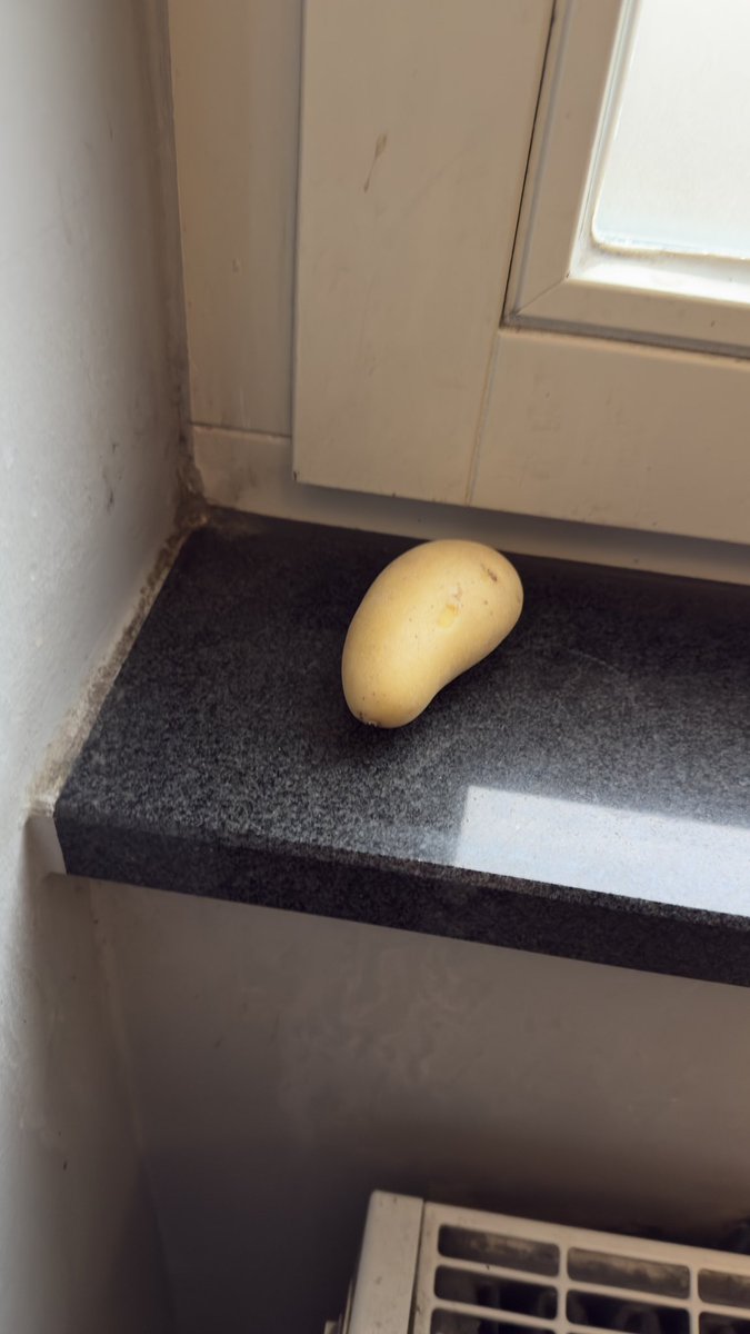 found this in the gym lol