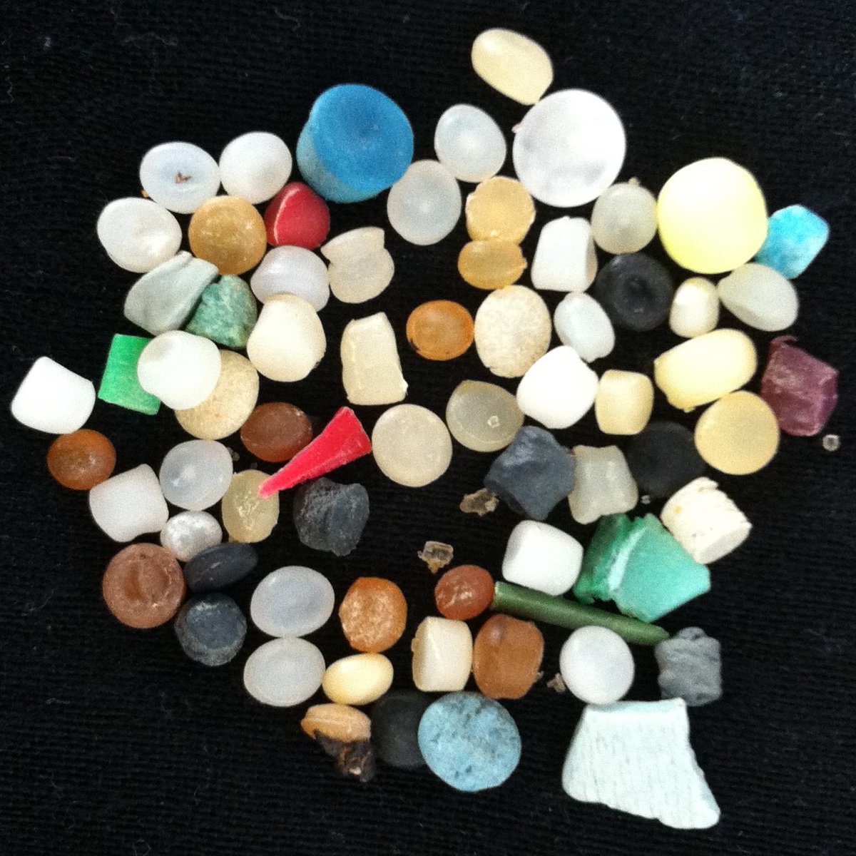 <a href="/RichardKCross/">Rich Cross</a> <a href="/CentreEnvHealth/">Environment-Health</a> <a href="/MarineSteph/">Stephanie Wright</a> 🔎 Interested in learning more about microplastics? See our factsheet for more information and links to research ceh.ac.uk/sites/default/… [PDF]

#PlasticPollution #GlobalPlasticsTreaty
