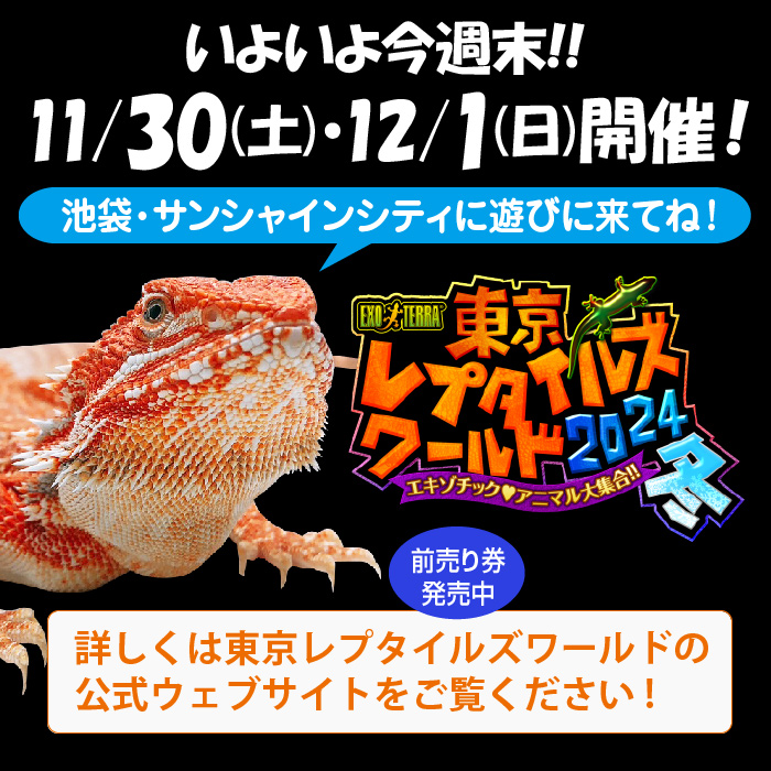 いよいよ今週末! ✨【東京レプタイルズワールド2024冬】開催のお知らせ