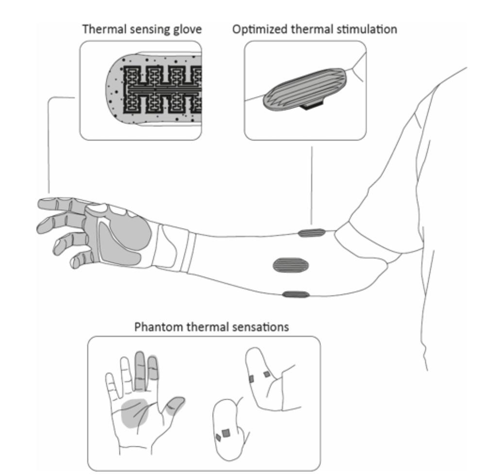 solaiman.shokur (@solaimanshokur) on Twitter photo Huge tnx to <a href="/EPFL/">EPFL</a> Technology transfert office and Enable grant to support us to get closer to an industrial application of our thermal prosthetic! More to come soon. With <a href="/_smicera/">Silvestro Micera</a> and <a href="/JonathanMuheim/">Muheim Jonathan</a>
epfl.ch/research/techn⦠Huge tnx to <a href="/EPFL/">EPFL</a> Technology transfert office and Enable grant to support us to get closer to an industrial application of our thermal prosthetic! More to come soon. With <a href="/_smicera/">Silvestro Micera</a> and <a href="/JonathanMuheim/">Muheim Jonathan</a>
epfl.ch/research/technā¦