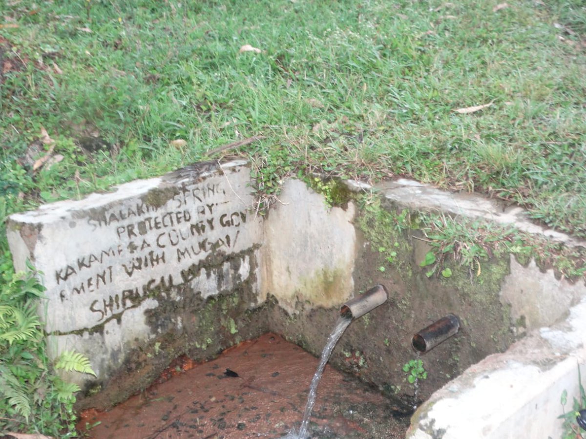 Change4-Planet.Org tweet media