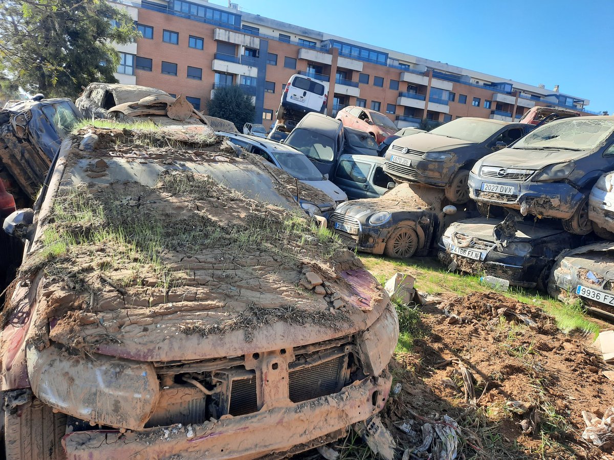 La hierba crece sobre el barro del capó de este Sandero, amontonado junto a otros cientos de coches a las afueras de Paiporta