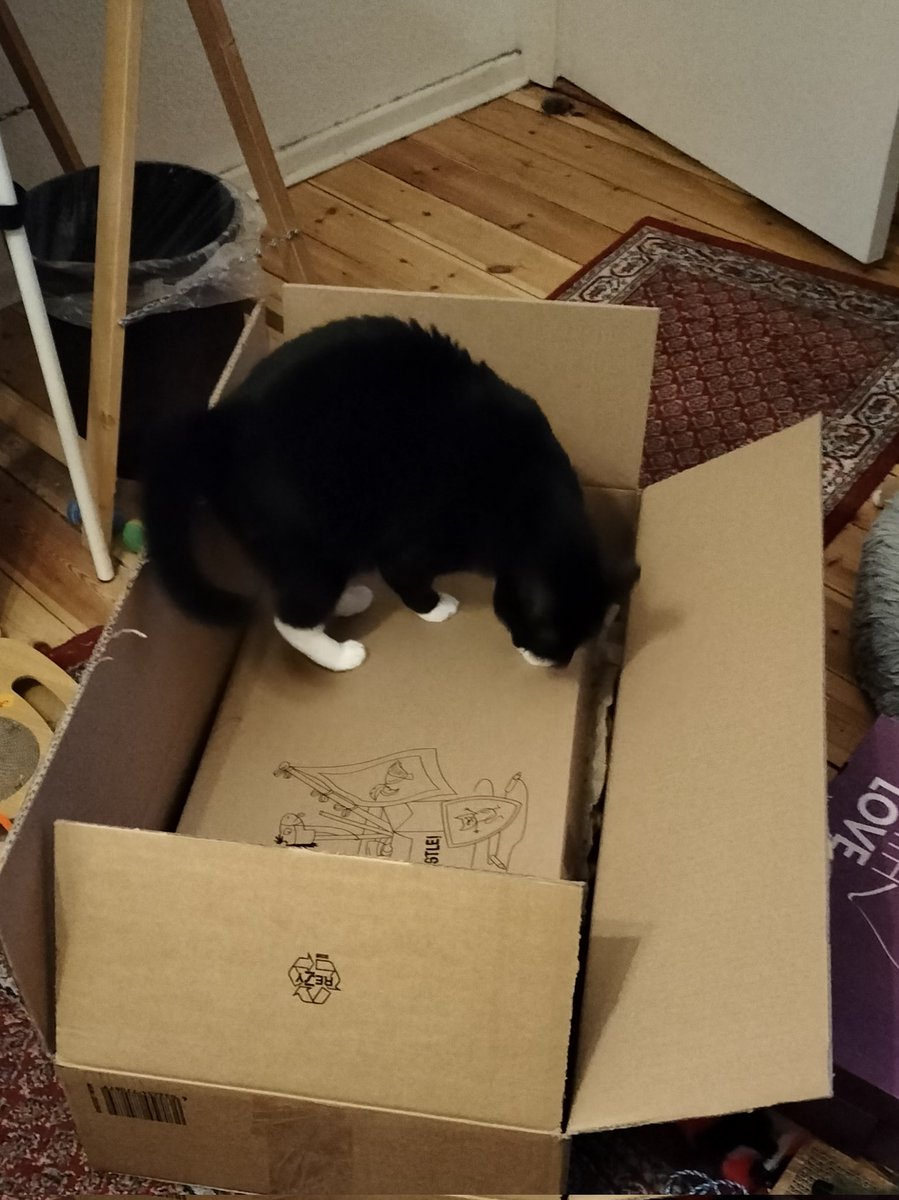 Cleo macht die Zollkontrolle!😄🐾🐈‍⬛