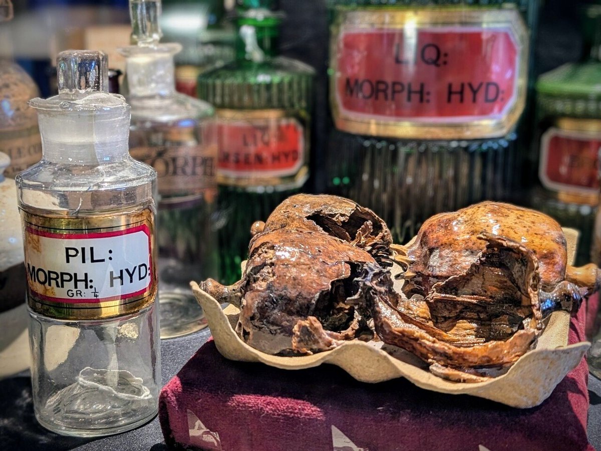 Say hello to Pil: Morph: Hyd—the Victorian era’s potent painkiller! 💊 Inside this apothecary bottle was "Pilula Morphinae Hydrochloridum", or hydrochloride of morphine pills. Known for its powerful pain-relieving effects, this was the go-to for severe a… instagr.am/p/DC6YN_lvLrH/