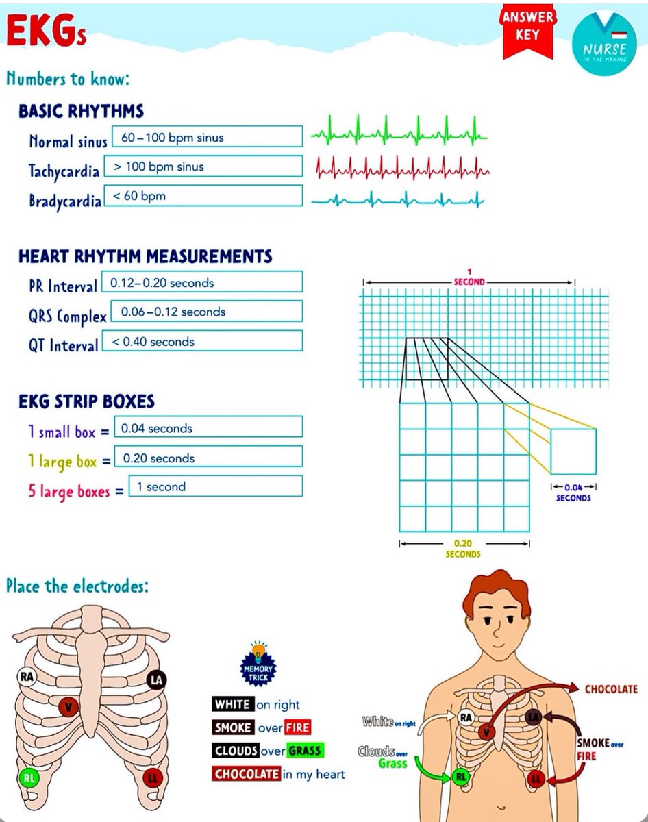 DrMedica_13's tweet image. EKGs 🫀

🌷🌷🌷
#Basics #MedEd #MedX #CardioMed