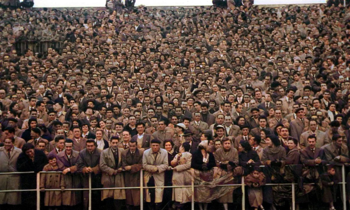 Onuba Archiefmeester tweet media