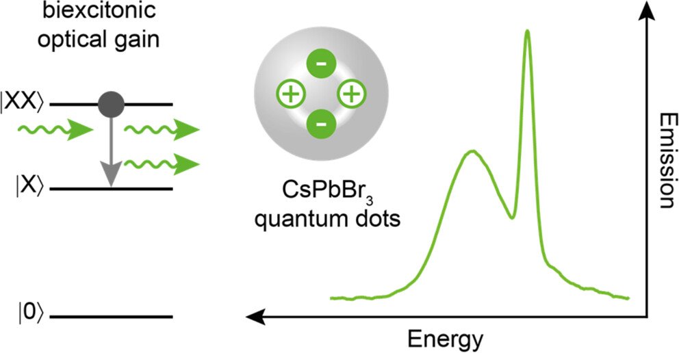 Quinten Akkerman (@q_akkerman) on Twitter photo Interested in optical gain and ASE in perovskite Quantum dots, and want to understand the underlying gain mechanism? Look no further!
Read all about in our recent paper on Biexcitonic Optical Gain in CsPbBr3 Quantum Dots!
<a href="/ACSPhotonics/">ACS Photonics</a> : pubs.acs.org/doi/10.1021/ac… Interested in optical gain and ASE in perovskite Quantum dots, and want to understand the underlying gain mechanism? Look no further!
Read all about in our recent paper on Biexcitonic Optical Gain in CsPbBr3 Quantum Dots!
<a href="/ACSPhotonics/">ACS Photonics</a> : pubs.acs.org/doi/10.1021/ac…