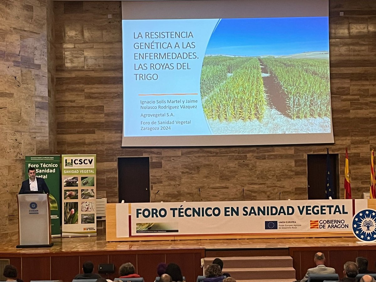 SolisMIgnacio's tweet photo. Participación de @AgrovegetalSA en el VIII Foro Técnico de Sanidad Vegetal de Aragón con la ponencia: “La resistencia genética a las enfermedades: las royas del trigo”. https://t.co/CfC4guqNZX