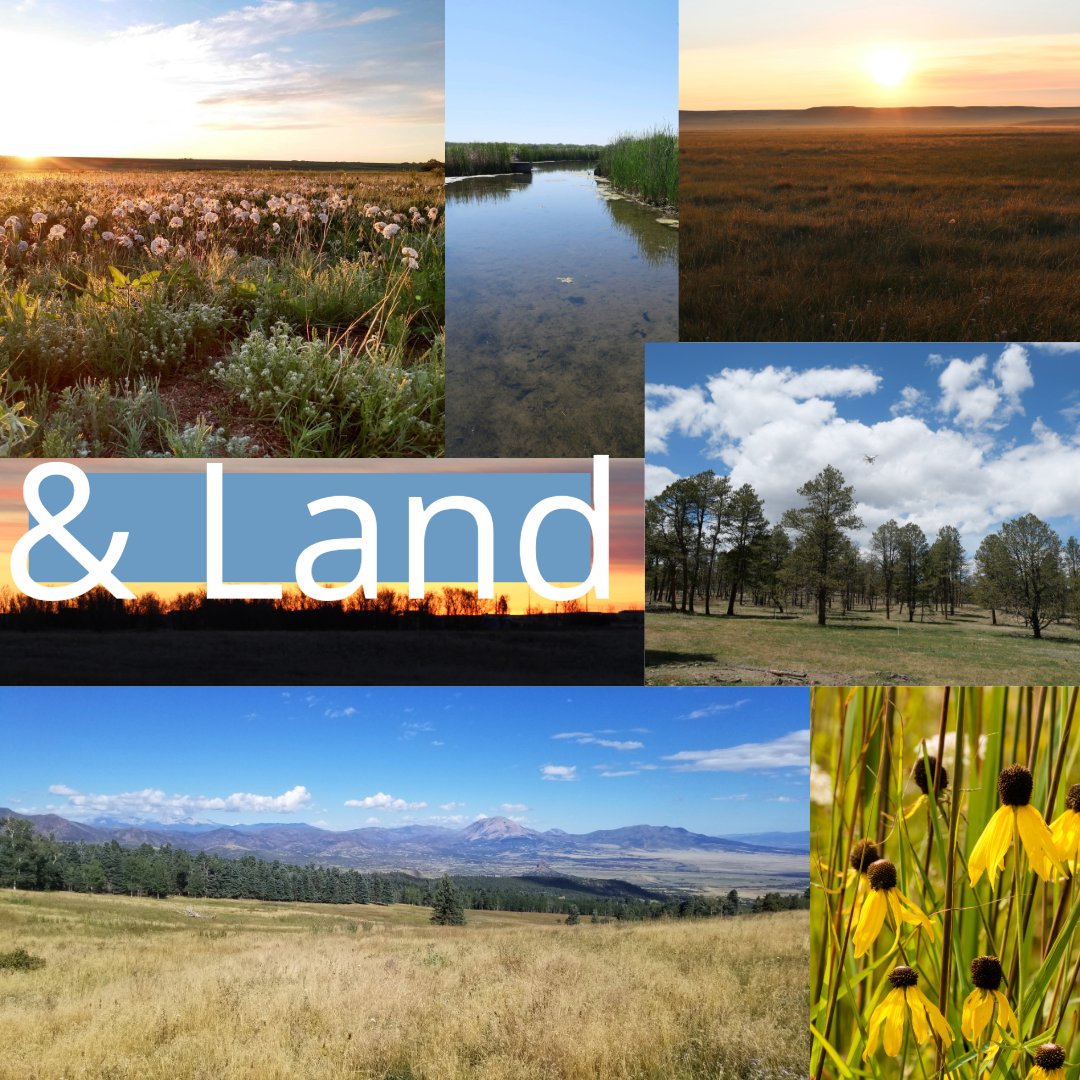 Bird Conservancy of the Rockies tweet media