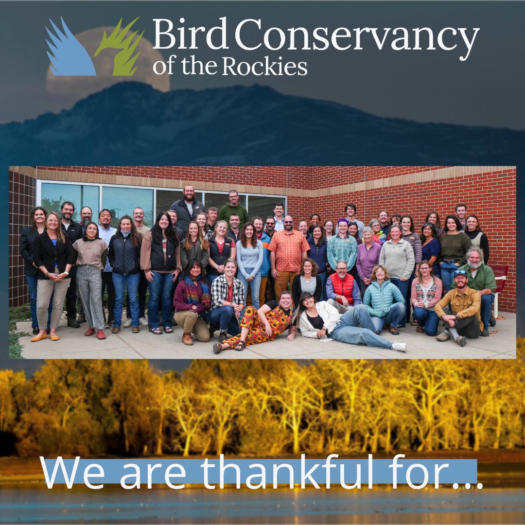 Bird Conservancy of the Rockies tweet media