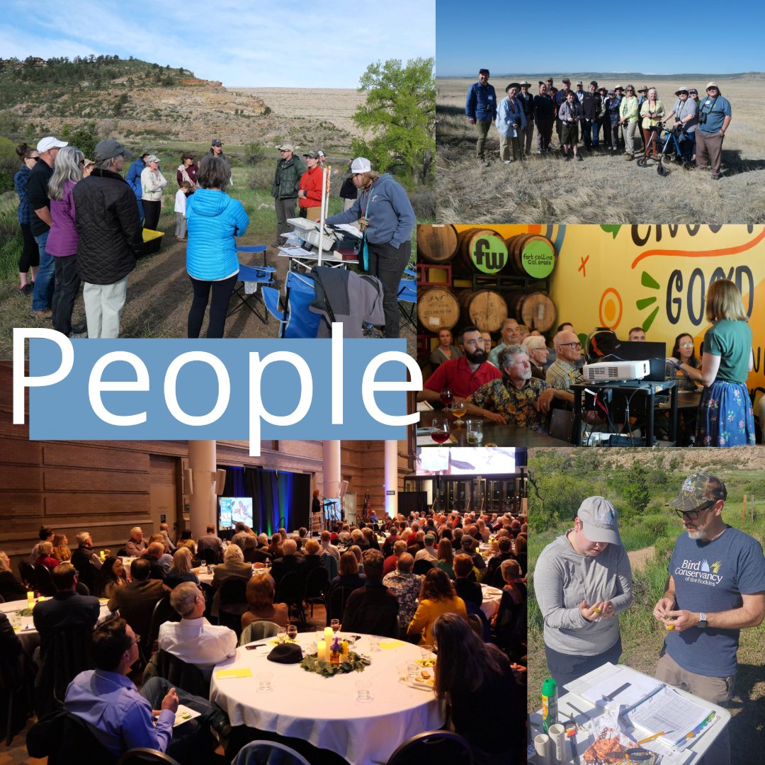 Bird Conservancy of the Rockies tweet media