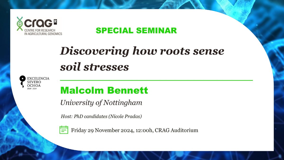 cragenomica's tweet photo. ❗ Join us tomorrow at 12:00h for a seminar presented by Malcom Bennett (@MalcolmBennett7) from the University of Nottingham (@UniofNottingham)

💡 Open seminar! No registration needed!
📌 CRAG Auditorium
👉 https://t.co/LAfziePD0z https://t.co/5gEFwBkSqC