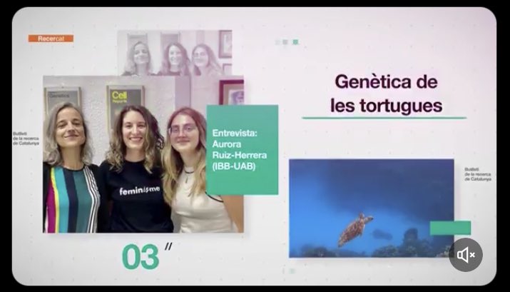 Aurora Ruiz-Herrera (@a_ruizherrera) on Twitter photo 🎯 La nostra recerca destacada al nou butlletí del Departament de Recerca i Universitats 🧬🐢
<a href="/recercauniscat/">Recerca i Universitats</a>
<a href="/UABBarcelona/">Universitat Autònoma de Barcelona</a> <a href="/uabbiociencies/">Facultat de Biociències UAB</a> <a href="/IBB_UAB/">Institut de Biotecnologia i de Biomedicina UAB</a>
👇 🎯 La nostra recerca destacada al nou butlletí del Departament de Recerca i Universitats 🧬🐢
<a href="/recercauniscat/">Recerca i Universitats</a>
<a href="/UABBarcelona/">Universitat Autònoma de Barcelona</a> <a href="/uabbiociencies/">Facultat de Biociències UAB</a> <a href="/IBB_UAB/">Institut de Biotecnologia i de Biomedicina UAB</a>
👇