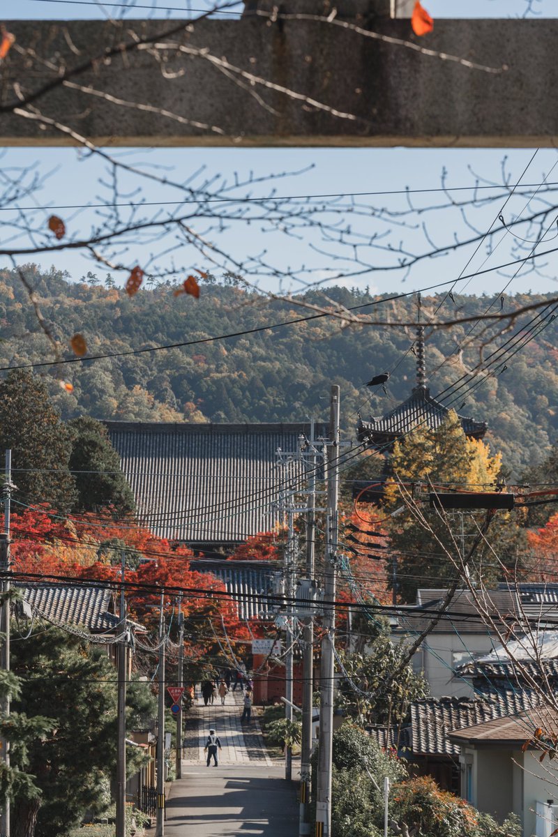 真如堂

#京都　#紅葉