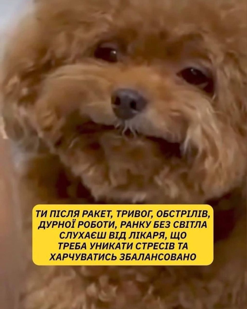 babaikit's tweet photo. https://t.co/g5EHLMENPD