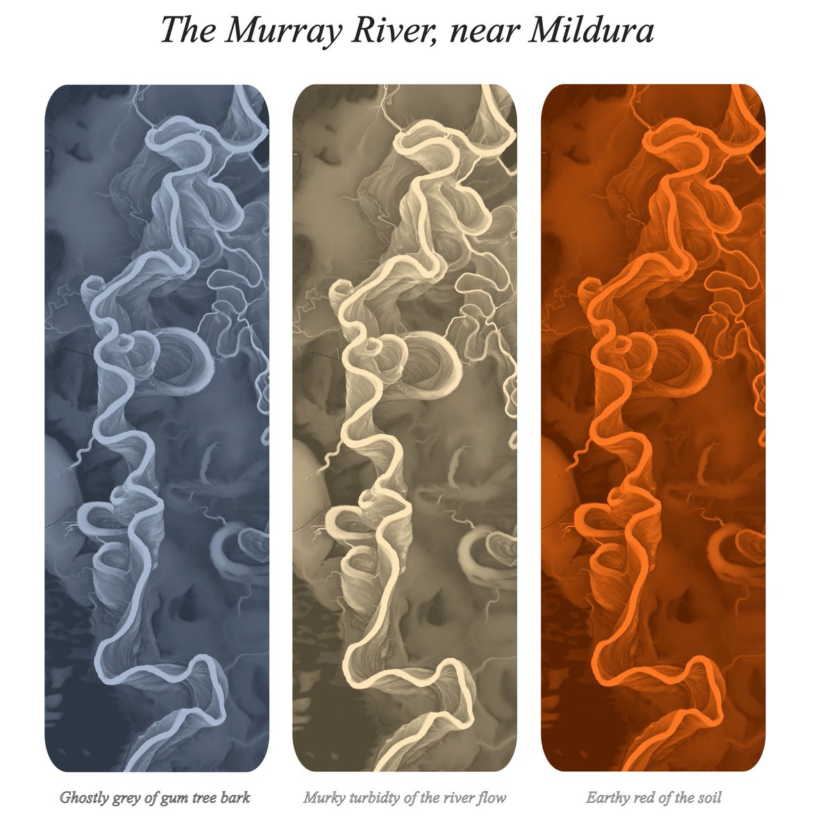 DigitalGeographyLab (@digigeolab) on Twitter photo #30DayMapChallenge - Day 28 - The Blue Planet. 
#RelativeElevationModel of the Murray River. Check out those meander scars!
Data source 👉 elevation.fsdf.org.au . 
- by Rory Taylor #30DayMapChallenge - Day 28 - The Blue Planet. 
#RelativeElevationModel of the Murray River. Check out those meander scars!
Data source 👉 elevation.fsdf.org.au . 
- by Rory Taylor