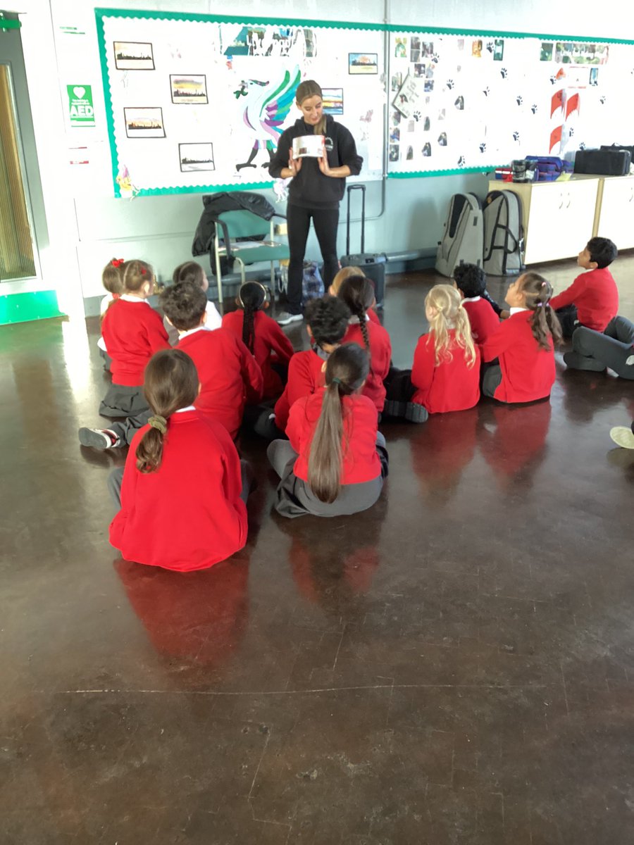 Tulip Class Y3/4 tweet media