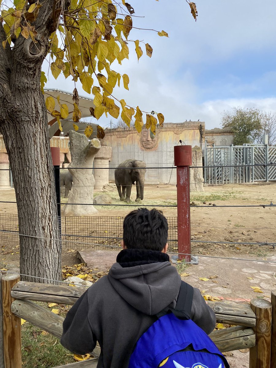 Monomarental (@monomarentales) on Twitter photo El sábado los grupos de Centro Abierto pudieron disfrutar de una salida al Zoológico de Madrid🦒🦩🐘🐬🦅
#asms #madressolteras #monomarental <a href="/FundlaCaixa/">Fundación ”la Caixa”</a> <a href="/ComunidadMadrid/">Comunidad de Madrid</a> #JMDlalatina #Carabanchel #ocioytiempolibre #CaixaProinfancia El sábado los grupos de Centro Abierto pudieron disfrutar de una salida al Zoológico de Madrid🦒🦩🐘🐬🦅
#asms #madressolteras #monomarental <a href="/FundlaCaixa/">Fundación ”la Caixa”</a> <a href="/ComunidadMadrid/">Comunidad de Madrid</a> #JMDlalatina #Carabanchel #ocioytiempolibre #CaixaProinfancia