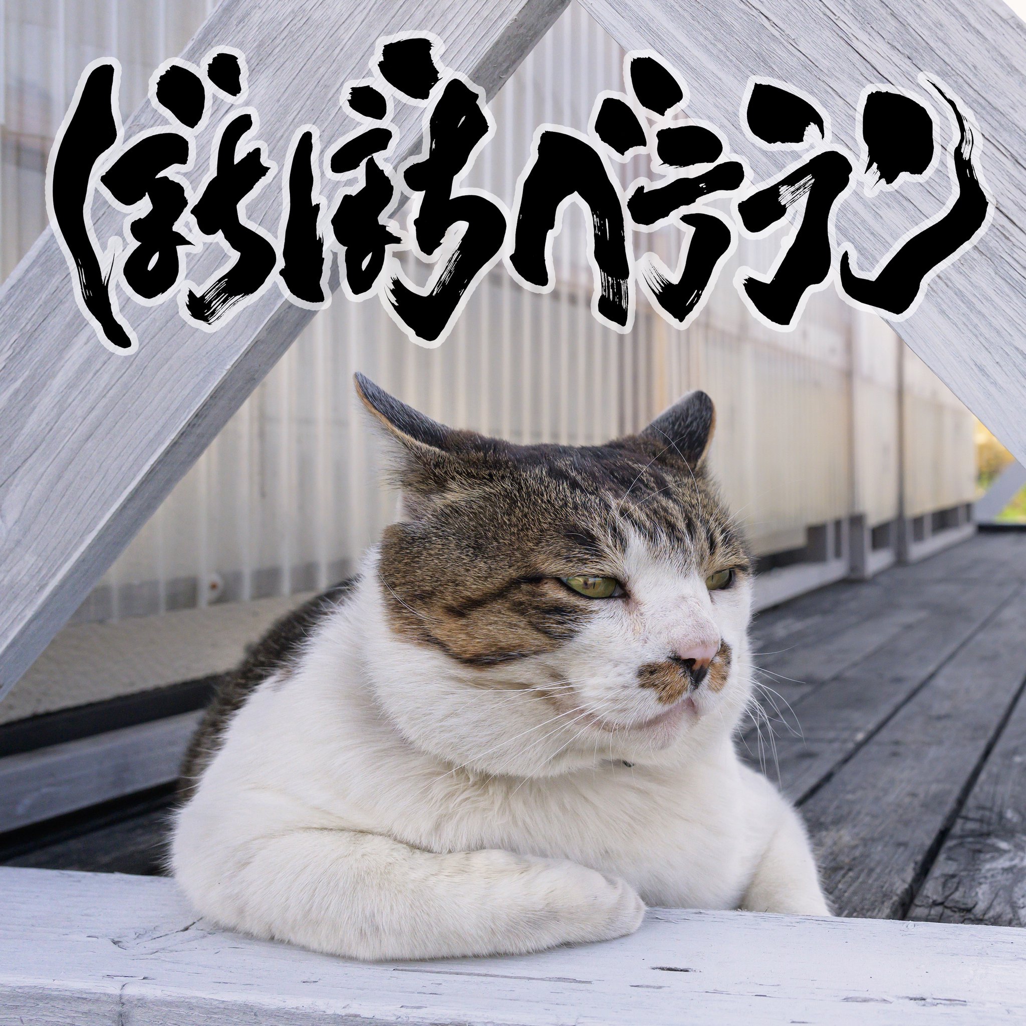 打首獄門同好会　獄ボディバッグ 打首獄門同好会、結成20周年プロジェクト