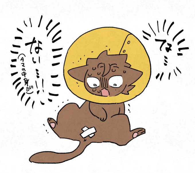 去勢…… 