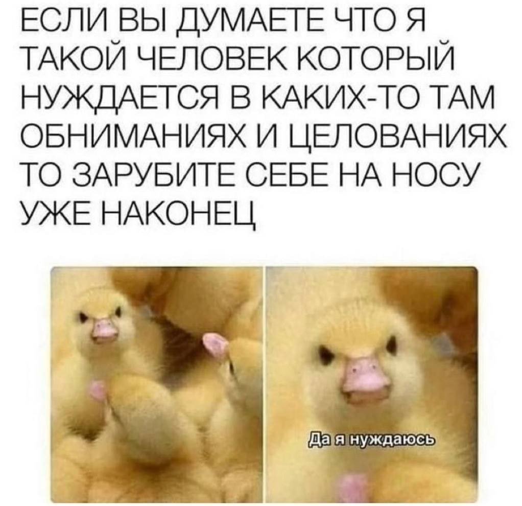 Кирилл Йошикагов (@yoshikagov) on Twitter photo 