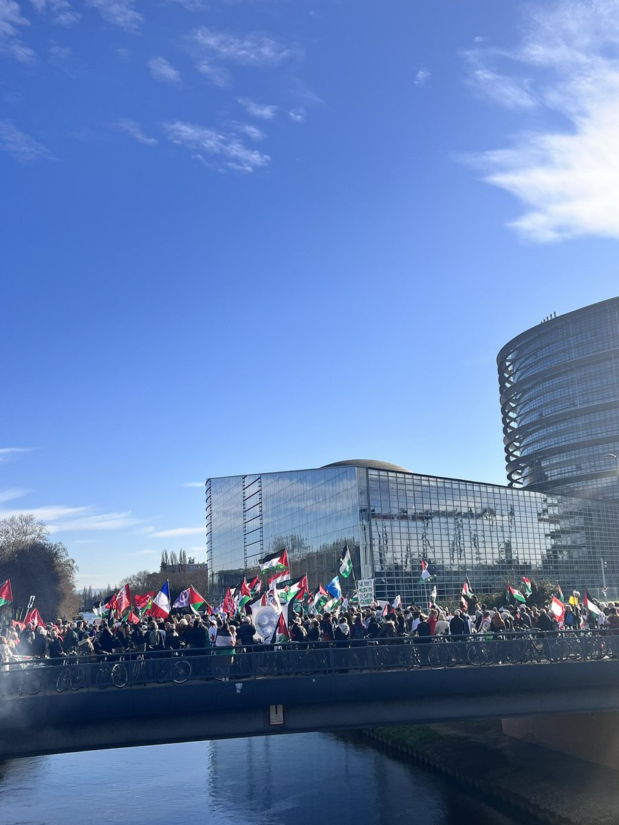 deliceilknur's tweet photo. #filistin #Palestina #EuropeanParliament #Strasbourg https://t.co/nIBOesj3Y4