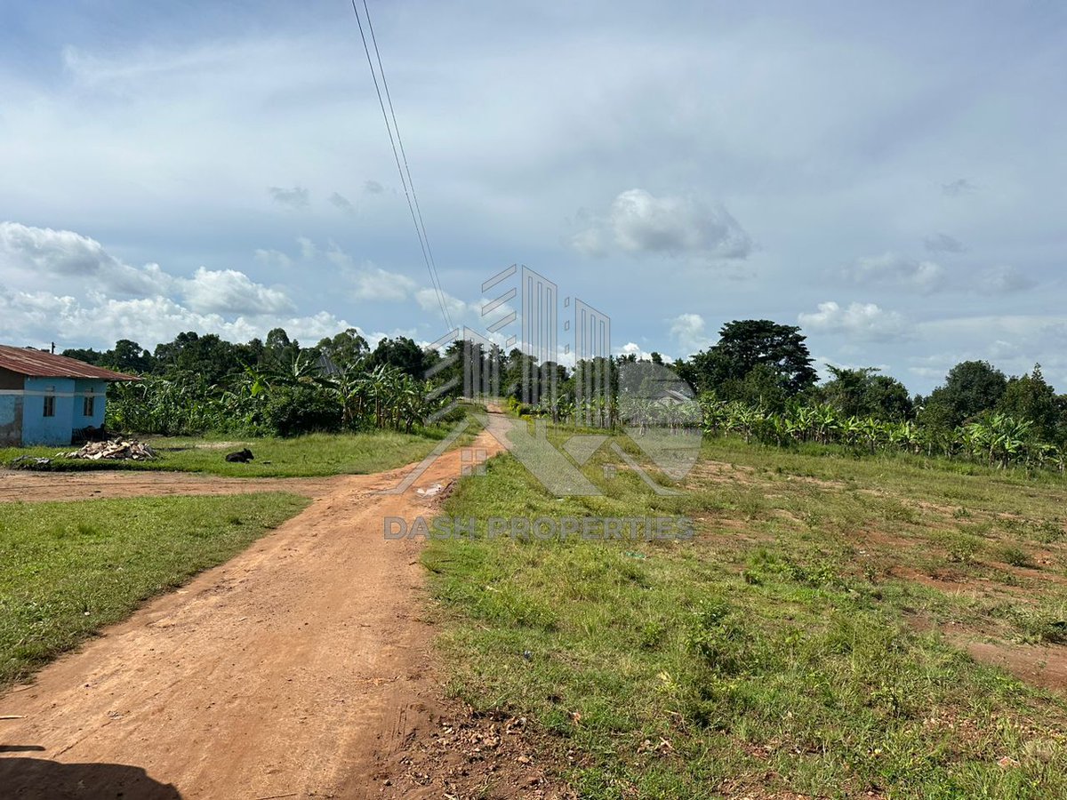 Properties_Dash's tweet image. Prime real estate available in Kakiri—4km from Kakiri New Market!

-2 Acres of land
- Ideal for a Country Home or Investment
- Available at a Reasonable Price

 The growing area around Kakiri is ideal for long-term value and development.

#LandForSale #Kakiri   #DashProperties