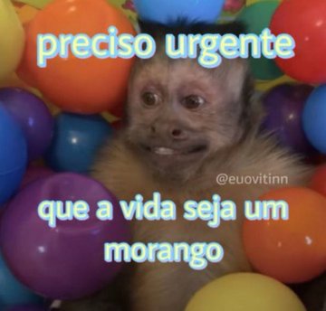 euovitinn's tweet photo. sim https://t.co/Wjk84tJZNX
