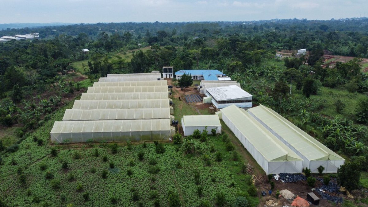 FarmlineL's tweet photo. on site: designing, planning and implementing a green house farm which has given the grower flexibility to precisely manage climate, control air exchange and influence light exposure crucial for producing high quality veggie @aero_agro https://t.co/1G8qWUHDRi