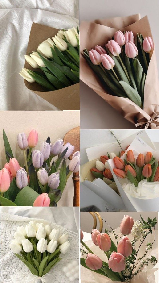 Tulips >>>>