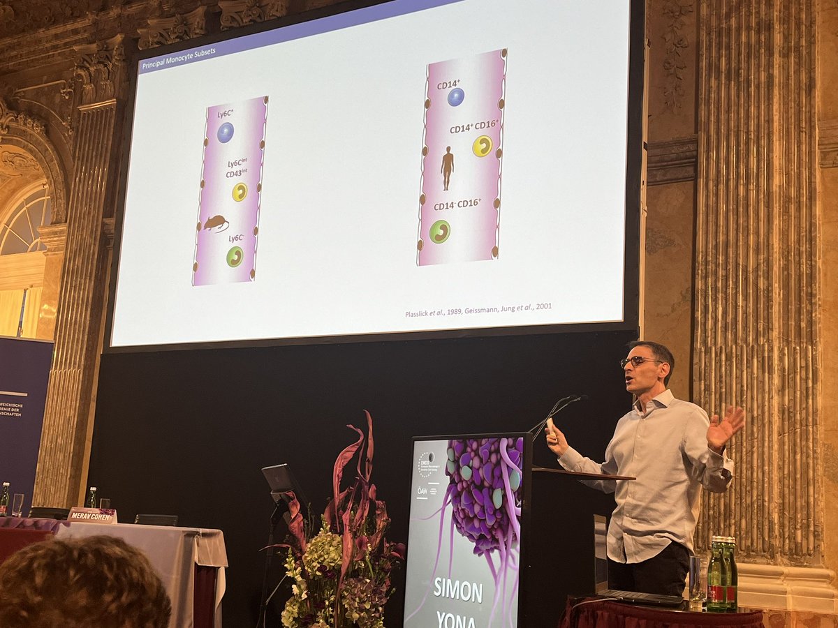 Ki-Wook Kim Lab (@kiwookkimlab) on Twitter photo Wonderful talk from <a href="/simonyona/">Simon Yona</a>
Kinetics of human monocyte and DCs in steady state and inflammation. He expands our understanding of human mononuclear phagocytes! Wonderful talk from <a href="/simonyona/">Simon Yona</a>
Kinetics of human monocyte and DCs in steady state and inflammation. He expands our understanding of human mononuclear phagocytes!