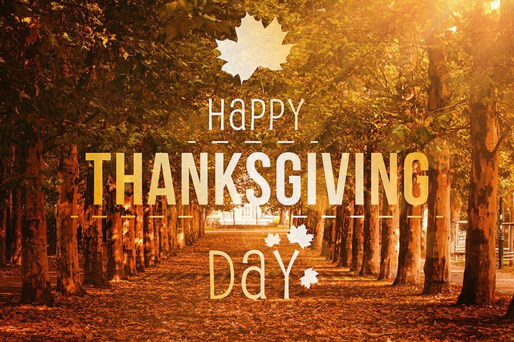 A_Dconstruction's tweet photo. Happy Thanksgiving! 🍁🦃 
Today, we’re grateful for our amazing community, cherished memories, and the joy of togetherness. Wishing you and your loved ones a day full of laughter, love, and plenty of pie! 🥧 

#Thanksgiving2024 https://t.co/otSiJL2O5j